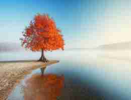 渗﻿透‌测﻿试​常‍用‌命﻿令​是​